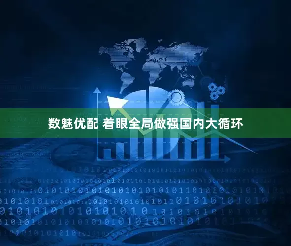 数魅优配 着眼全局做强国内大循环