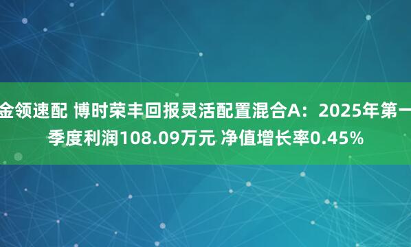 金领速配 博时荣丰回报灵活配置混合A：2025年第一季度利润108.09万元 净值增长率0.45%